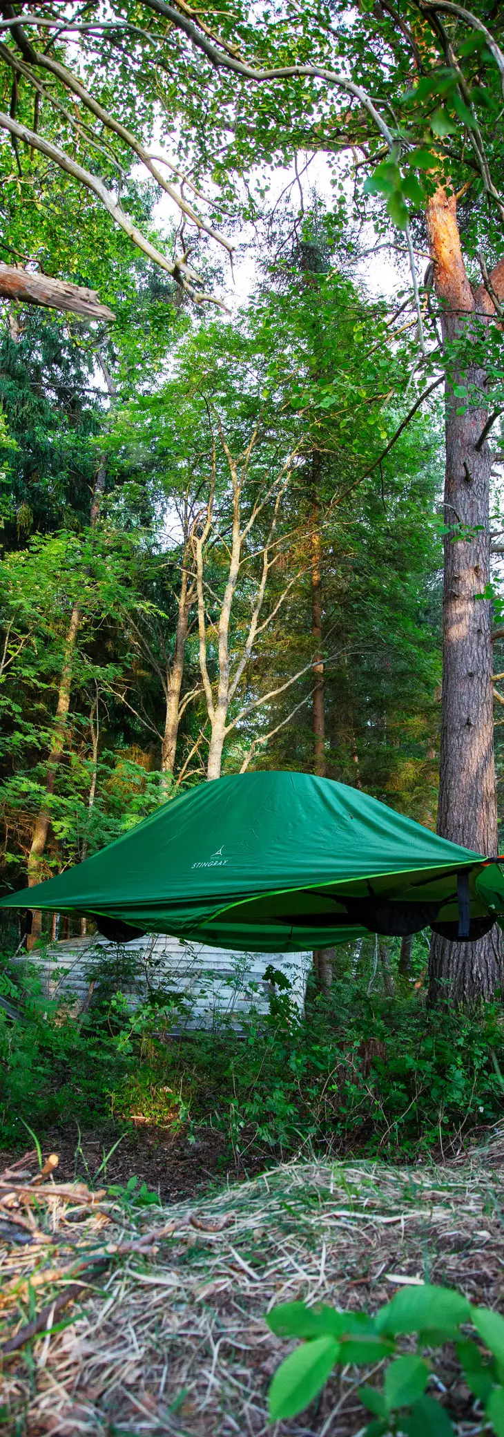 Vihreä Tentsile-telttamajoite puiden välissä metsässä.