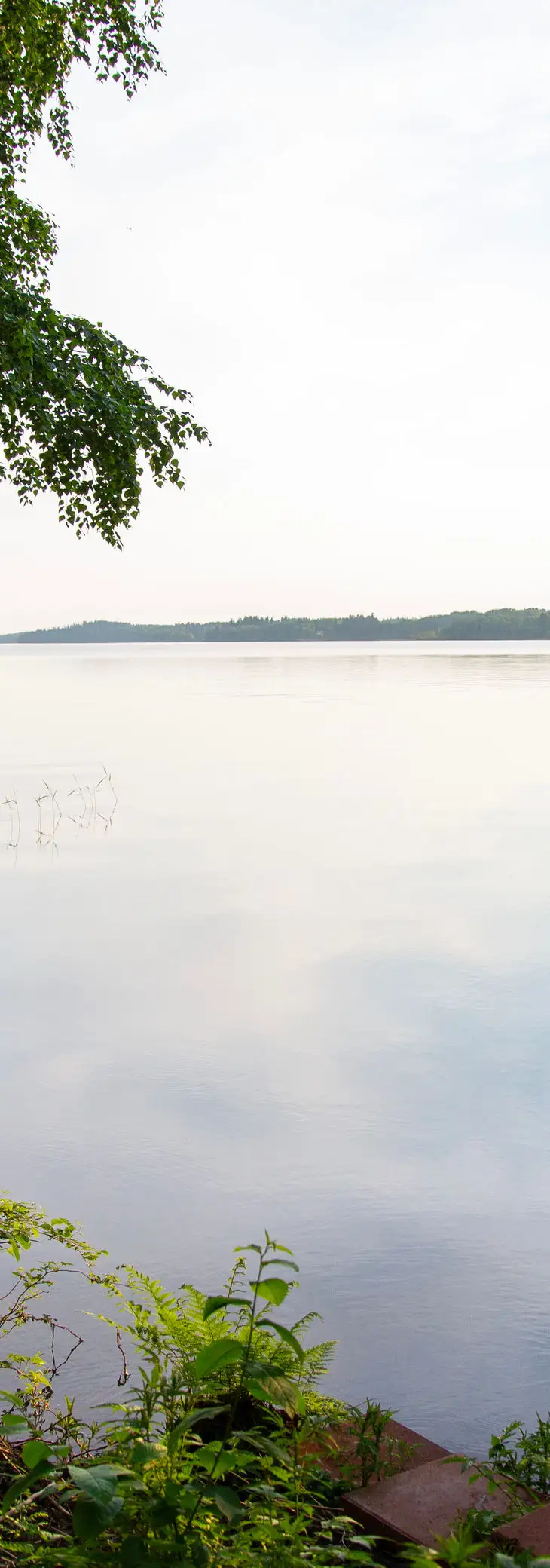 Tyyni järvenselkä ja kaukana siintävä vastaranta.