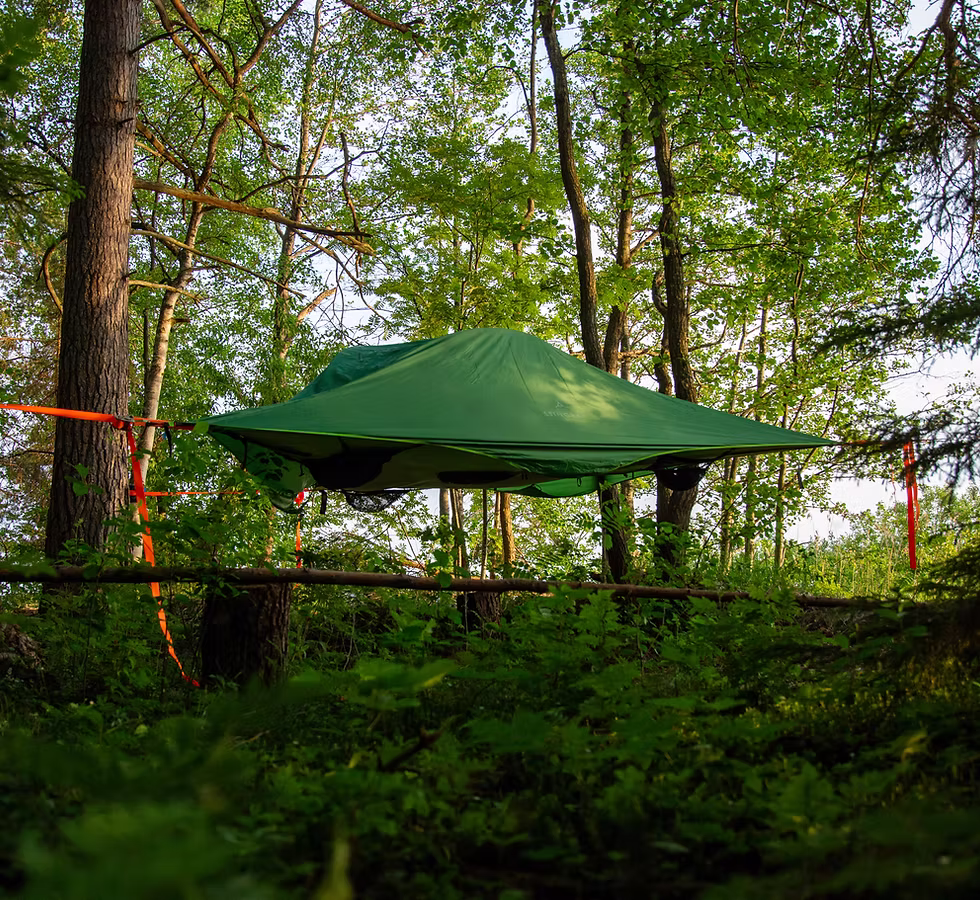 Vihreä Tentsile-telttamajoite ripustettuna puiden väliin rantametsässä.